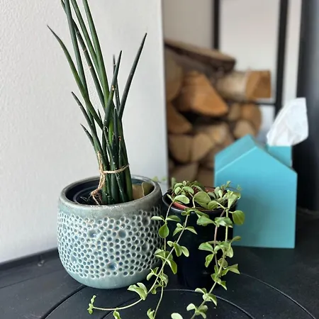 Apartment Haus Villa-moderne Galeriewohnung In Wallersdorf-haidlfing