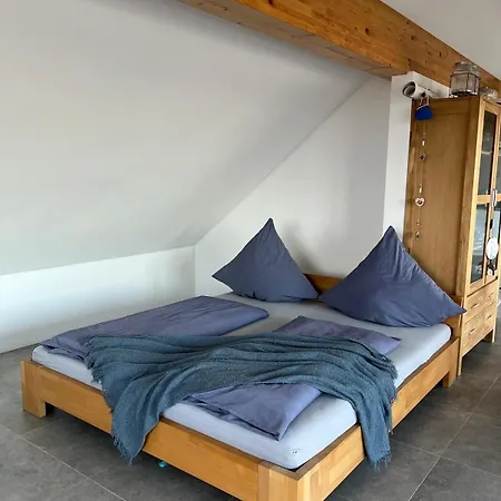 Haus Villa-moderne Galeriewohnung In Wallersdorf-haidlfing Apartment Wallersdorf
