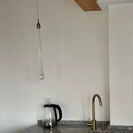 Haus Villa-moderne Galeriewohnung In Wallersdorf-haidlfing Lejlighed