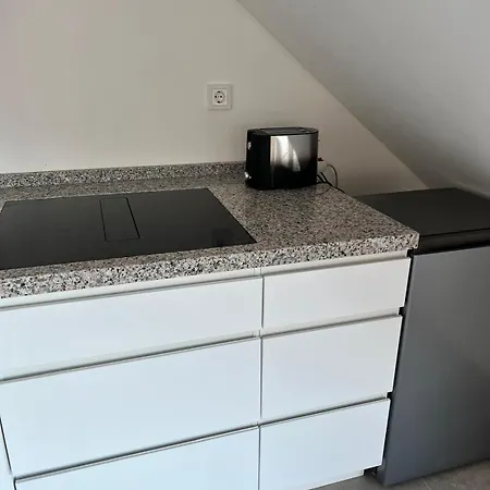 Haus Villa-moderne Galeriewohnung In Wallersdorf-haidlfing Lejlighed *