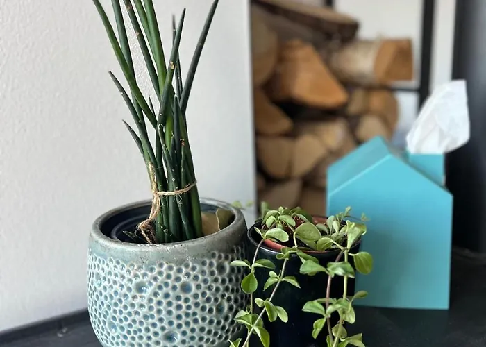 Apartment Haus Villa-moderne Galeriewohnung In Wallersdorf-haidlfing